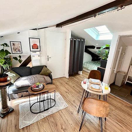 Loft Hortensia Hyper Centre Castres カストル エクステリア 写真