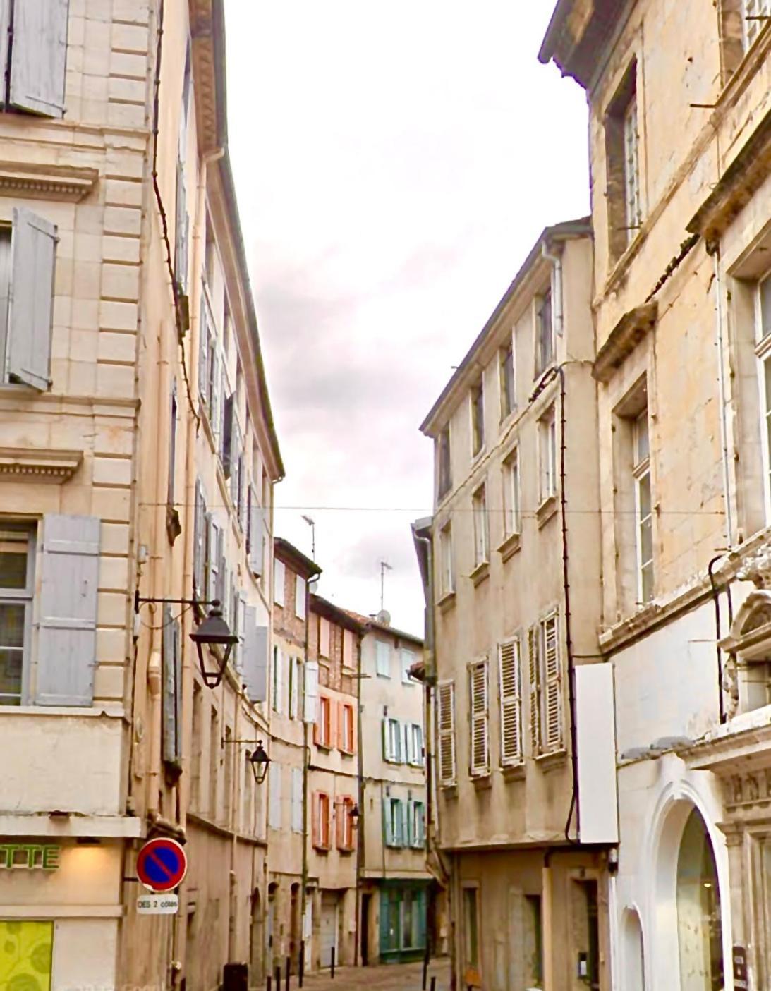Loft Hortensia Climatise Hyper Centre Castres カストル エクステリア 写真