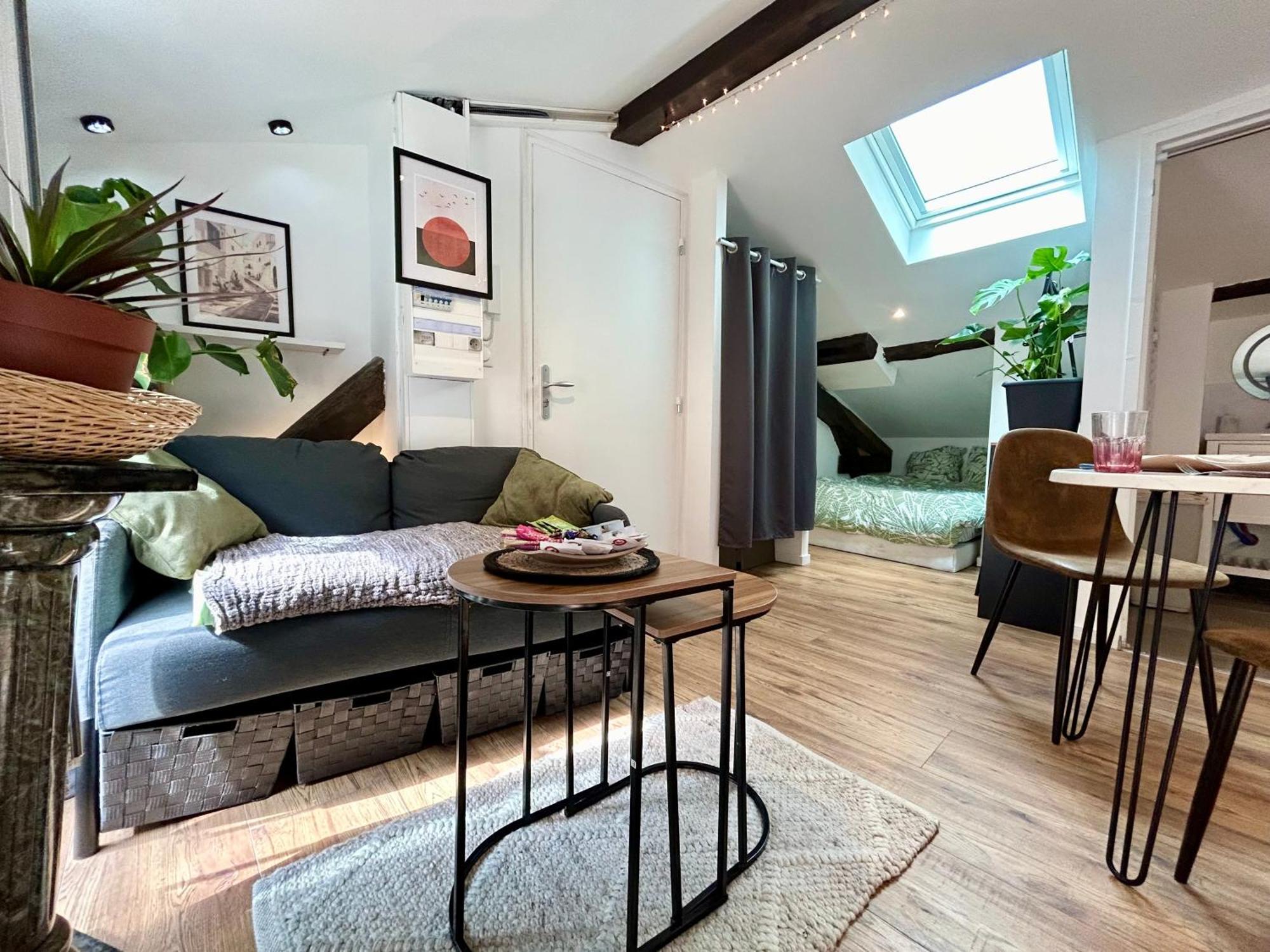 Loft Hortensia Climatise Hyper Centre Castres カストル エクステリア 写真