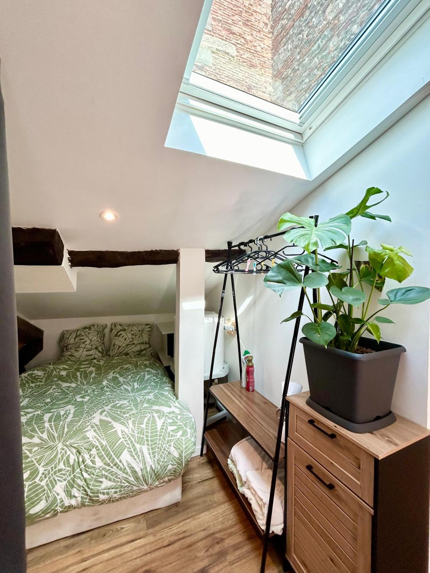 Loft Hortensia Climatise Hyper Centre Castres カストル エクステリア 写真