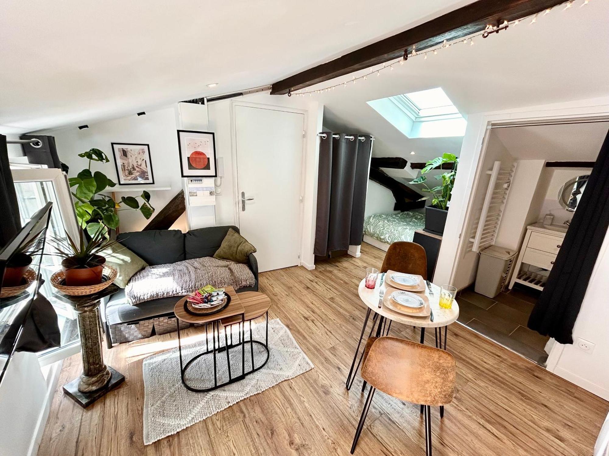 Loft Hortensia Climatise Hyper Centre Castres カストル エクステリア 写真